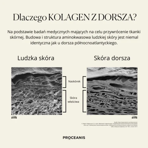Proceanis Collagen Drink Day & Night 700 ml - obrazek 3